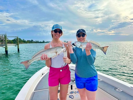 Redfish Fishing in Sarasota, Florida