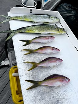 Fishing in Key West, Florida
