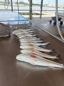 Fishing in Matagorda, Texas
