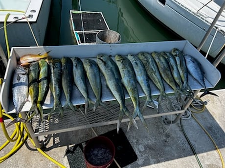 Fishing in Key West, Florida