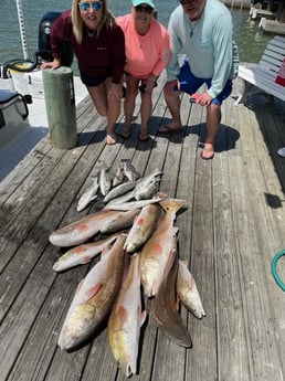 Black Drum, Redfish, Speckled Trout Fishing in Port O&#039;Connor, Texas