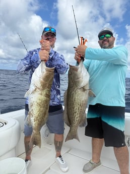 Fishing in Clearwater, Florida