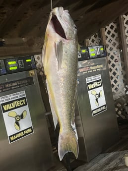 Fishing in Gulf Shores, Alabama