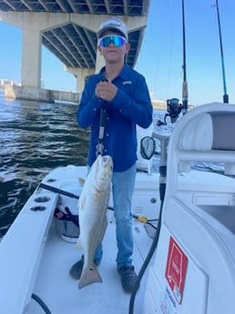 Fishing in Orange Beach, Alabama