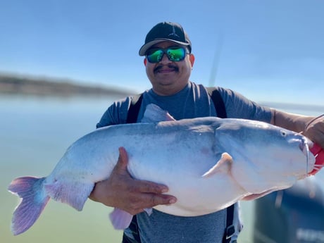 Blue Catfish Fishing in Dallas, Texas