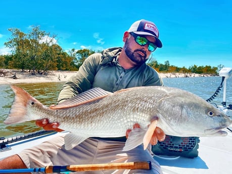Redfish fishing in Tavernier, Florida