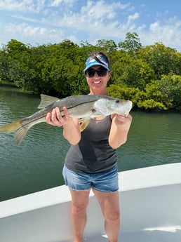 Fishing in Tampa, Florida