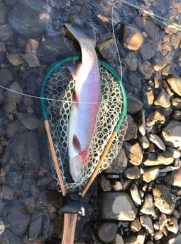 Fishing in Broken Bow, Oklahoma