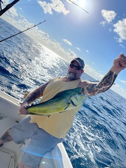 Mahi Mahi / Dorado Fishing in Fort Pierce, Florida
