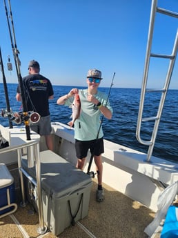 Fishing in Orange Beach, Alabama