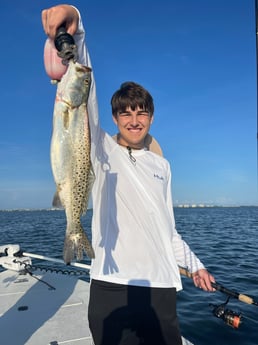 Speckled Trout Fishing in Sarasota, Florida