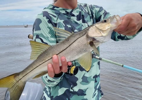 Fishing in Naples, Florida