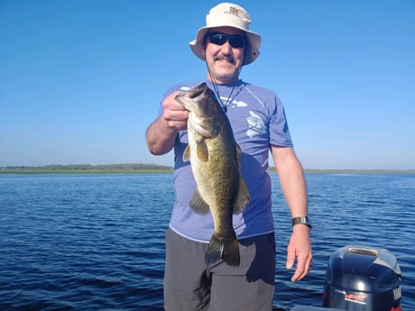 Largemouth Bass Fishing in Kissimmee, Florida