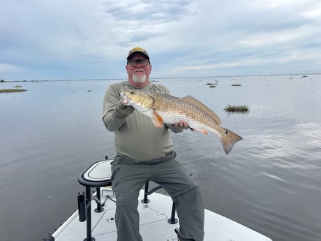 Redfish Fishing in Shell Beach, Louisiana