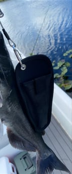 Fishing in Pembroke Pines, Florida