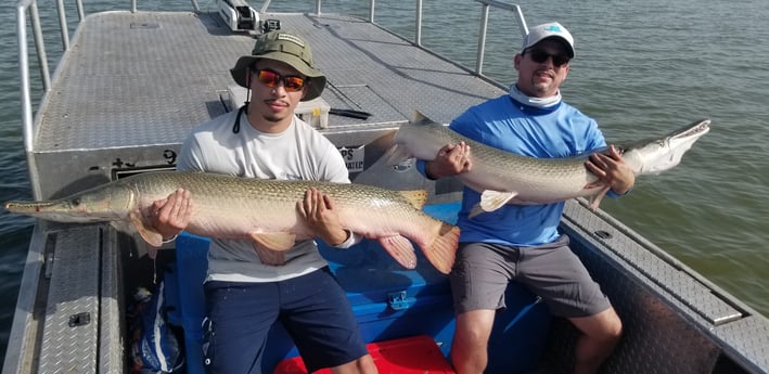 Alligator Gar fishing in Livingston, Texas