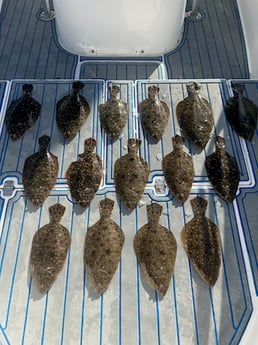 Fishing in Destin, Florida