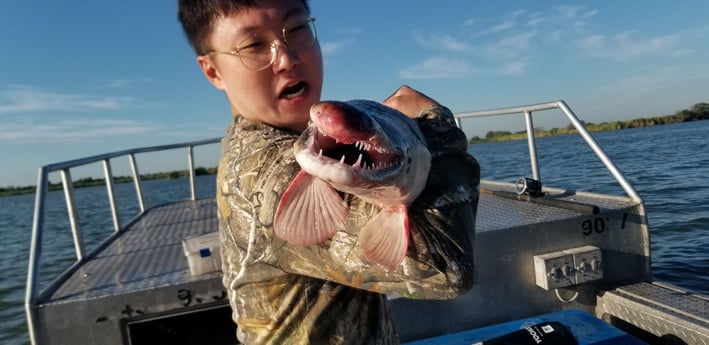 Stingray fishing in Livingston, Texas
