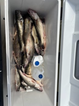 Fishing in Indianapolis, Indiana