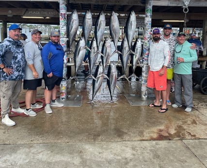Yellowfin Tuna Fishing in Boothville-Venice, Louisiana
