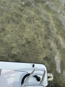 Fishing in Winter Springs, Florida