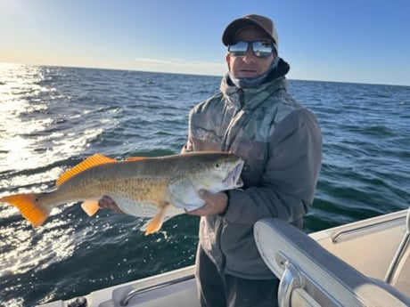 Fishing in Tarpon Springs, Florida