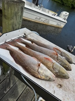 Fishing in Port Orange, Florida