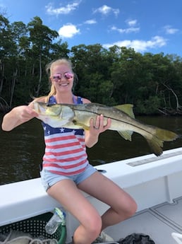 Redfish fishing in Fort Myers, Florida
