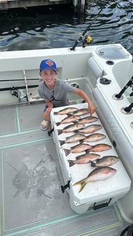 Fishing in Miami, Florida