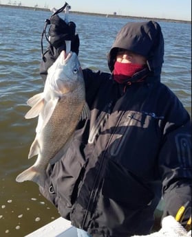 Black Drum fishing in San Leon, Texas