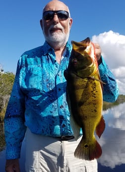 Peacock Bass fishing in Fort Lauderdale, Florida
