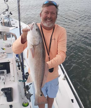 Redfish Fishing in Trails End, North Carolina