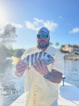 Sheepshead Fishing in Wrightsville Beach, North Carolina