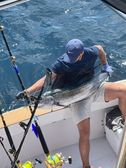 Sailfish Fishing in West Palm Beach, Florida