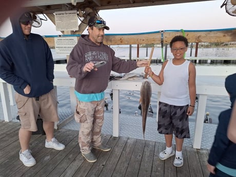 Fishing in Elberta, Alabama