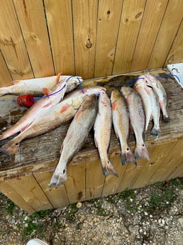 Fishing in San Leon, Texas