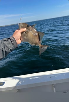 Fishing in Shalimar, Florida