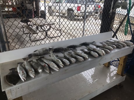 Fishing in Rockport, Texas