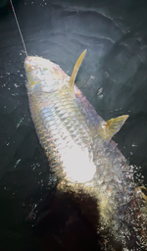 Fishing in Fort Lauderdale, Florida