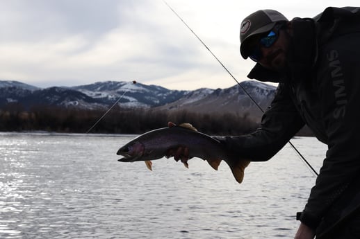 Rainbow Trout fishing in Deer Lodge, Montana