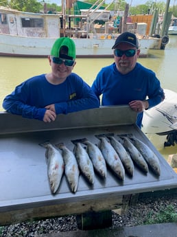 Speckled Trout / Spotted Seatrout fishing in Texas City, Texas