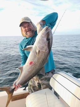 Amberjack Fishing in Sarasota, Florida