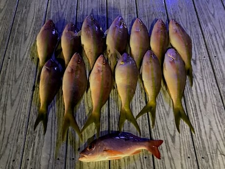 Fishing in Coconut Creek, Florida