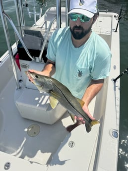 Fishing in Indian Rocks Beach, Florida