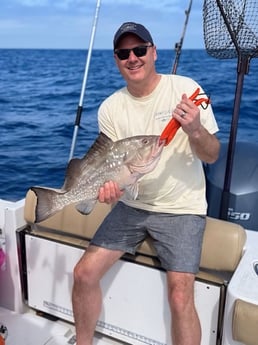 Red Grouper Fishing in