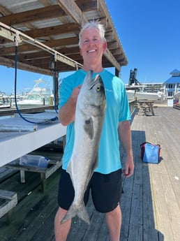 Fishing in Orange Beach, Alabama