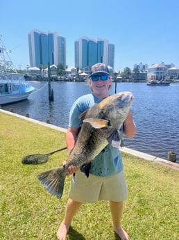 Fishing in Orange Beach, Alabama