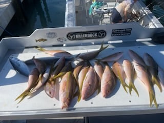 Fishing in Islamorada, Florida