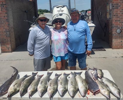 Blue Catfish, Striped Bass fishing in Runaway Bay, Texas