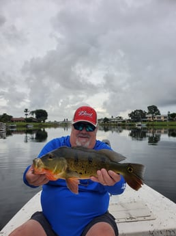 Peacock Bass fishing in Delray Beach, Florida